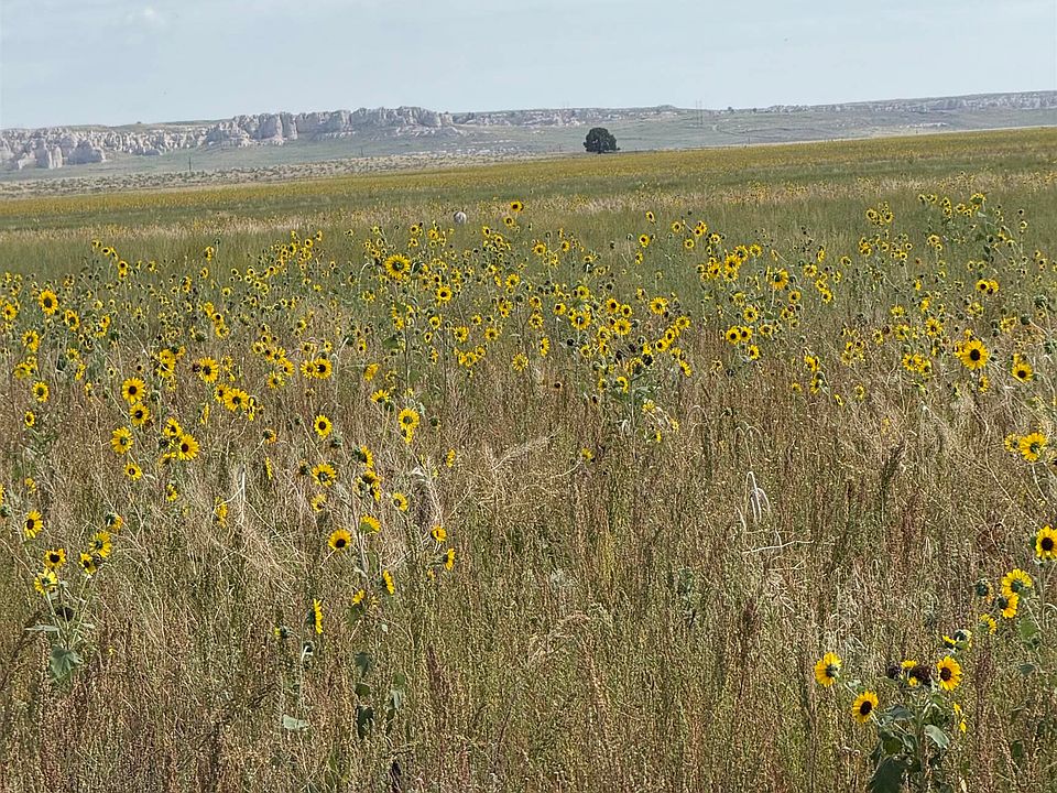 1st image of State Highway 151