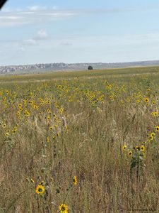 State Highway 151, Lagrange, WY, 82221