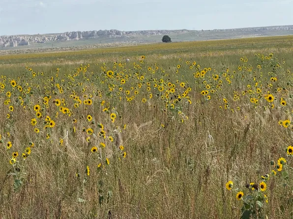 State Highway 151, Lagrange, WY 82221