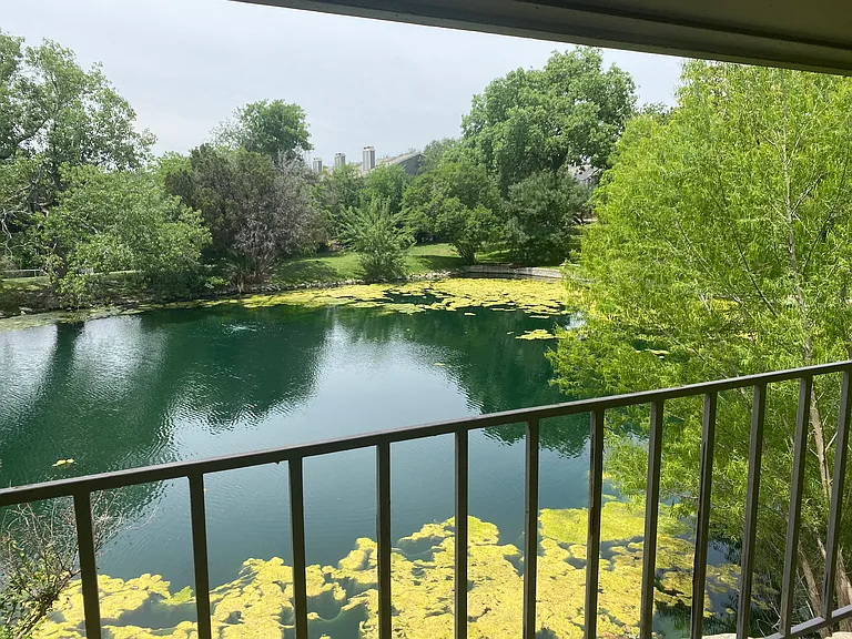 Another view of the pond from the second floor balcony.