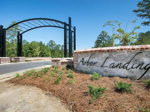 161 Bald Eagle Dr #Phase 3b, Brandon, MS 39047