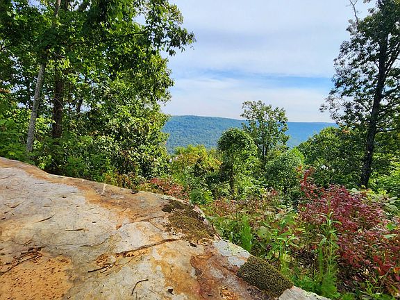 4th image of 3155 Pigeon Spur Rd