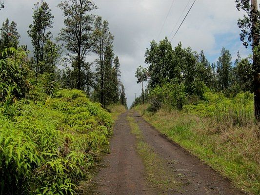 3rd image of Road 9 Koloa Maoli Lot 5510