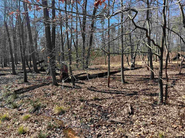 King John Samuel, Scroggins, TX 75480