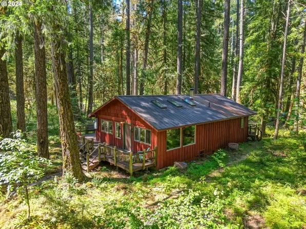 54822 E King Rd, Blue River, OR 97413