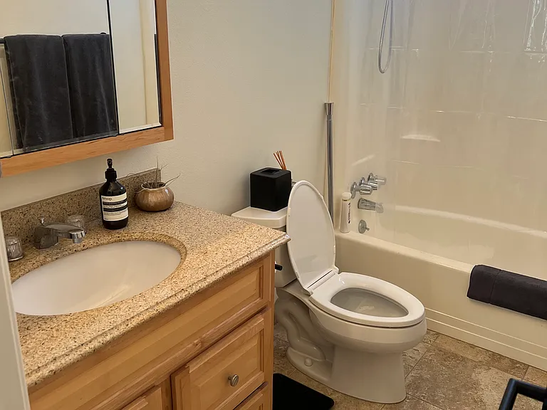 Guest/second bathroom