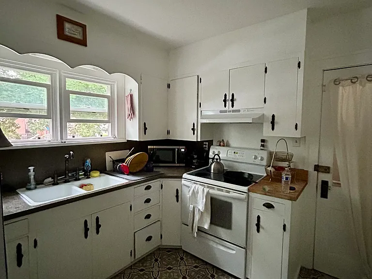 223 E Elizabeth St #223 — Photo 3