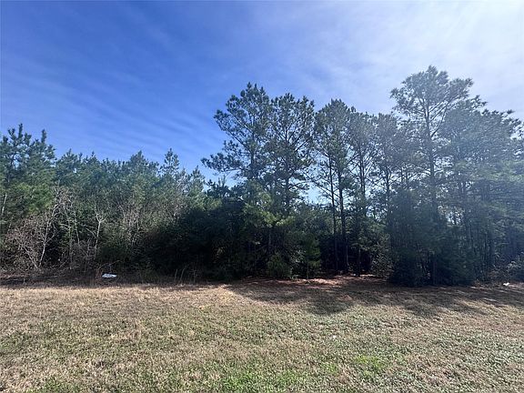4th image of 15576 Forest Grove Dr