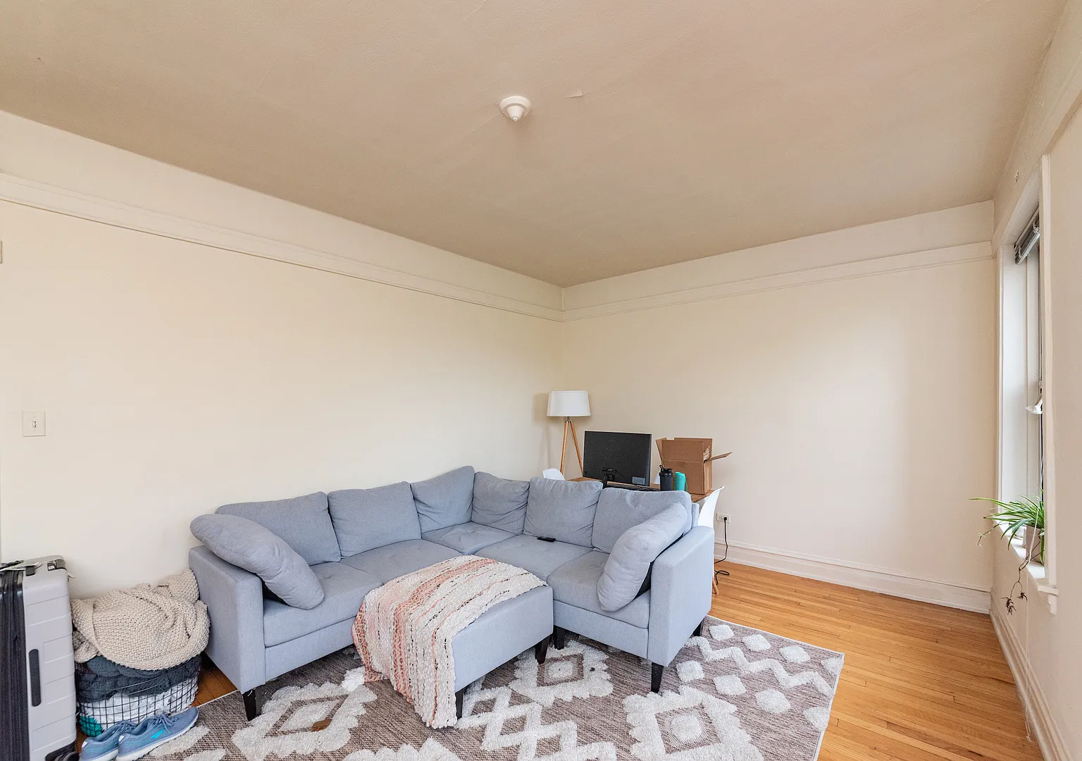 2 bed, 1.0 bath, $2,800 — Photo 3