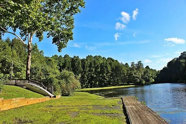121 Sundrops Ct — Photo 38