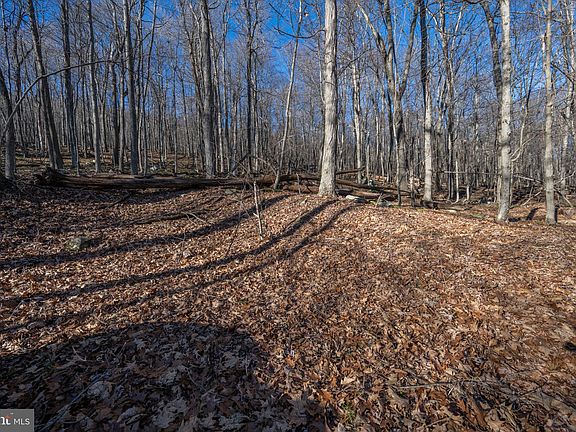 4th image of 10 Meadow Mountain Trl