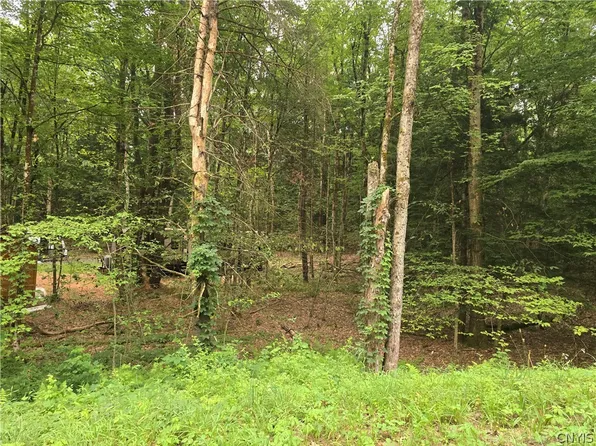 8376 Dixon Rd Lot 59, Camden, NY 13316