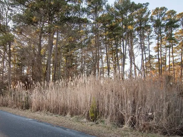 429 Captains Corridor, Greenbackville, VA 23356