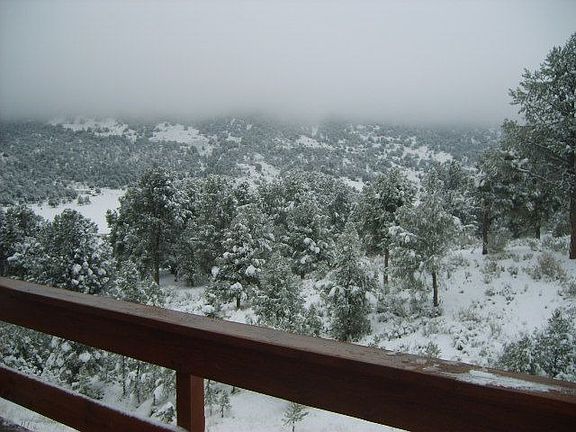 View from Deck