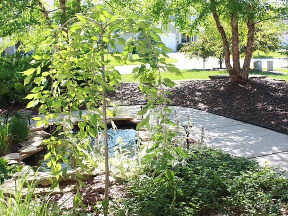 4th image of 1134 Spice Bush Dr SE