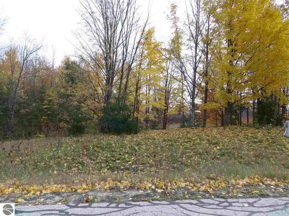 LOT 64 Eden St, Kingsley, MI 49649