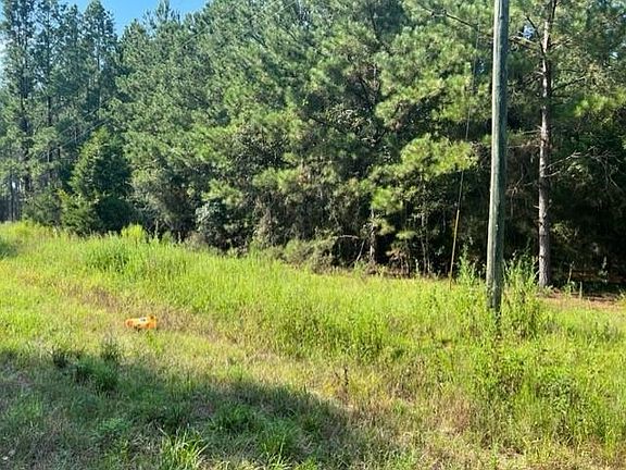 0 Rockhole Bridge Rd, Andalusia, AL 36420 | MLS #23509 | Zillow