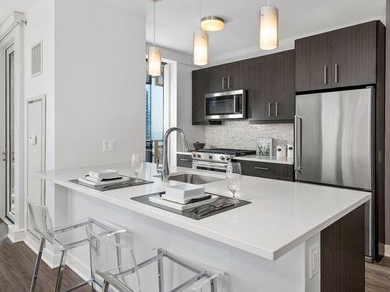 545 N Mcclurg Ct Chicago Il 60611 Condo For Rent In Chicago Il Apartments Com