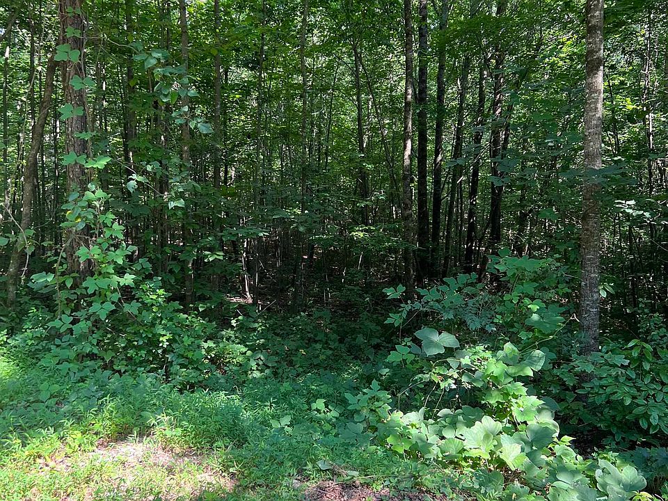 N/a Hobson Rd, Jasper, GA 30143 MLS 10186241 Zillow