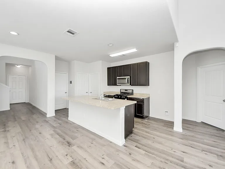 4919 Purple Wisteria Ln — Photo 11