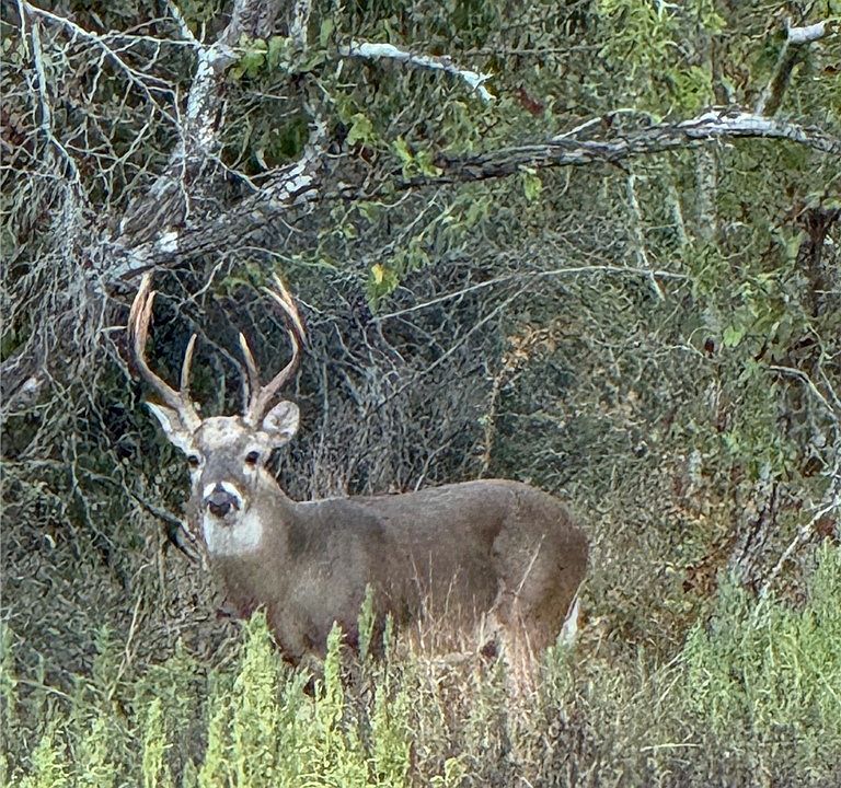 1st image of 0 County Road 322