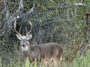 0 County Road 322, Shiner, TX 77984