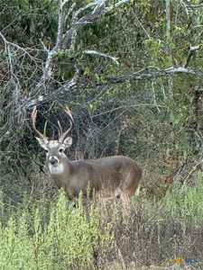 0 County Road 322, Shiner, TX, 77984