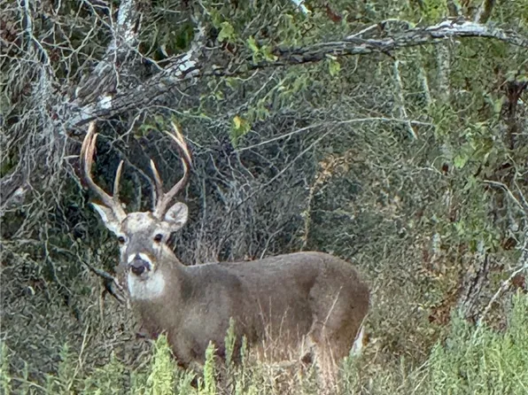 0 County Road 322, Shiner, TX 77984