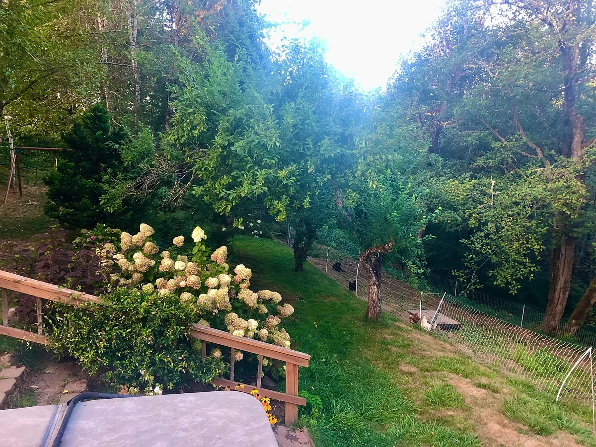 Backyard magic - 32724 NE Chamberlain Rd