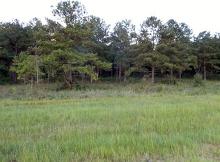 Tbd Bridges Store Rd, Ellaville, GA 31806