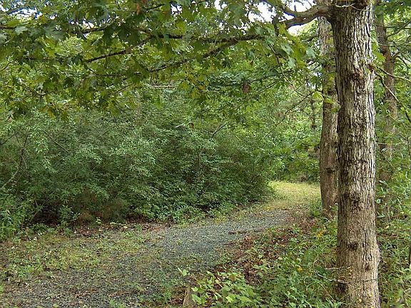 Path to Tennis Court