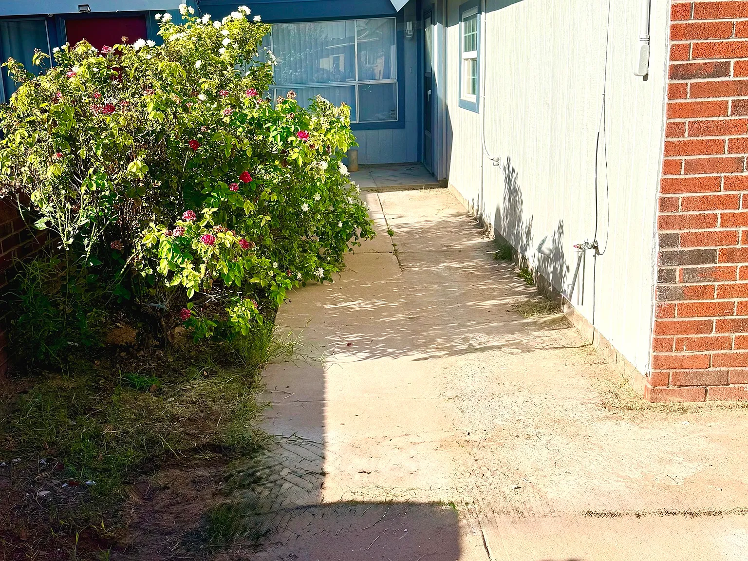 3 bed, $1,450 — Photo 2
