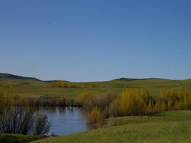 2nd image of Tbd Mundy Gulch Rd