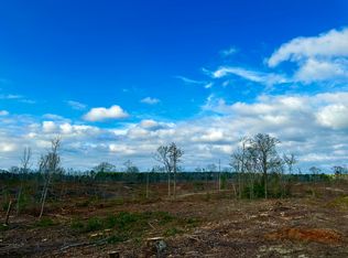 0 Hopewell Church Rd, Buena Vista, GA 31803