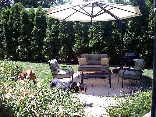 Private Fenced in backyard full of perennials!