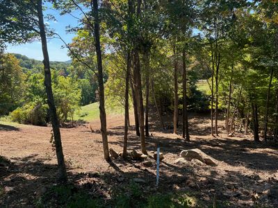 Smlot 43 Falconry Rdg #Hot, Hot Springs, VA, 24445