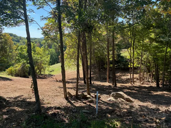 Smlot 43 Falconry Rdg #Hot, Hot Springs, VA 24445