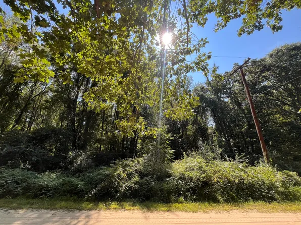 Central Dr, Grass Lake, MI 49240