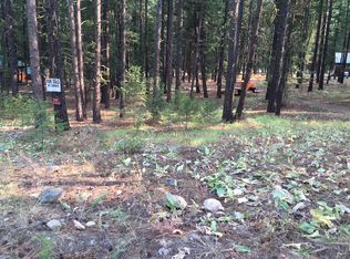 2 S Air Strip Rd, Twisp, WA 98856