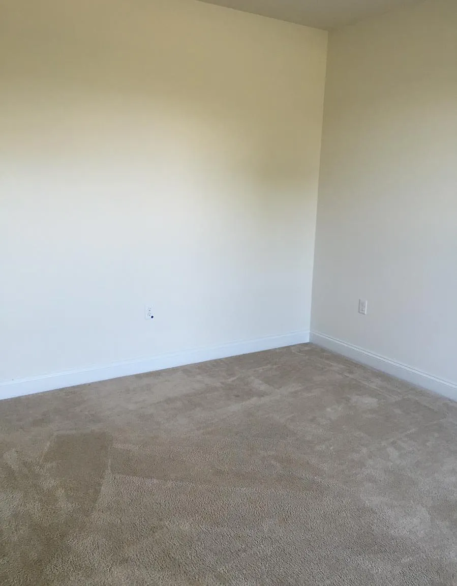 4 Meadow Creek Lane — Photo 4