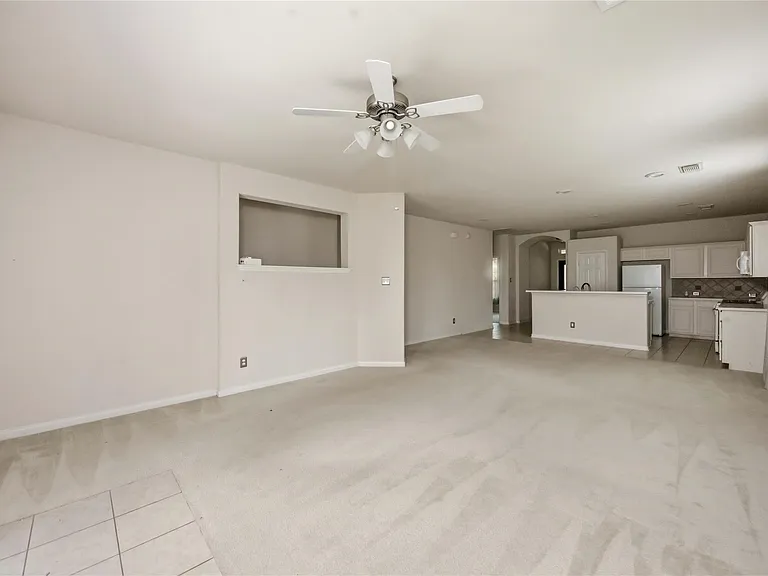 17203 Mitchell Pass Ln — Photo 8