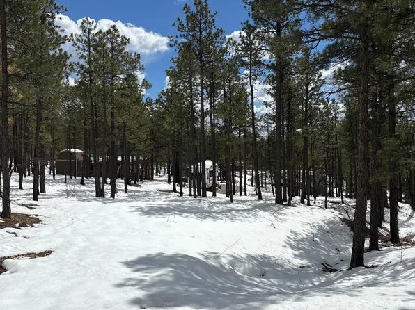 6 Hummingbird Pendaries Rv Park Dr, Rociada, NM 87742