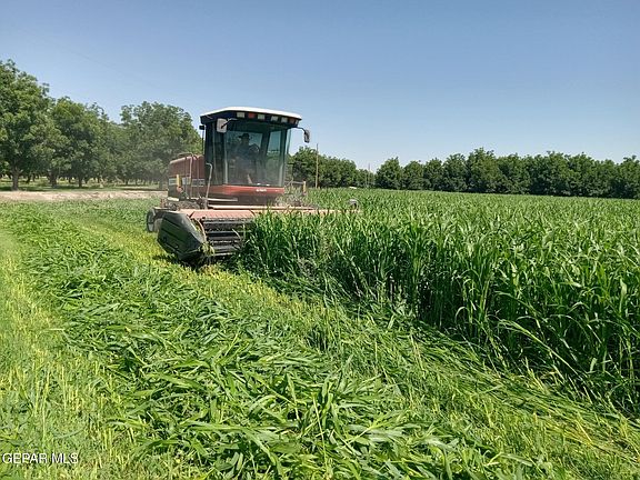 5th image of 844 Fabens Island Rd