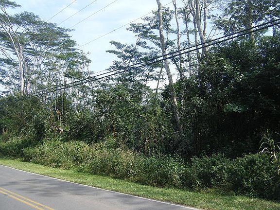 5th image of Paradise Dr. #Phh904