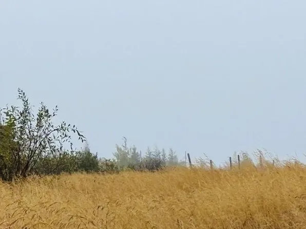 297 Main Street, New Wes Valley, NL A0G4R0