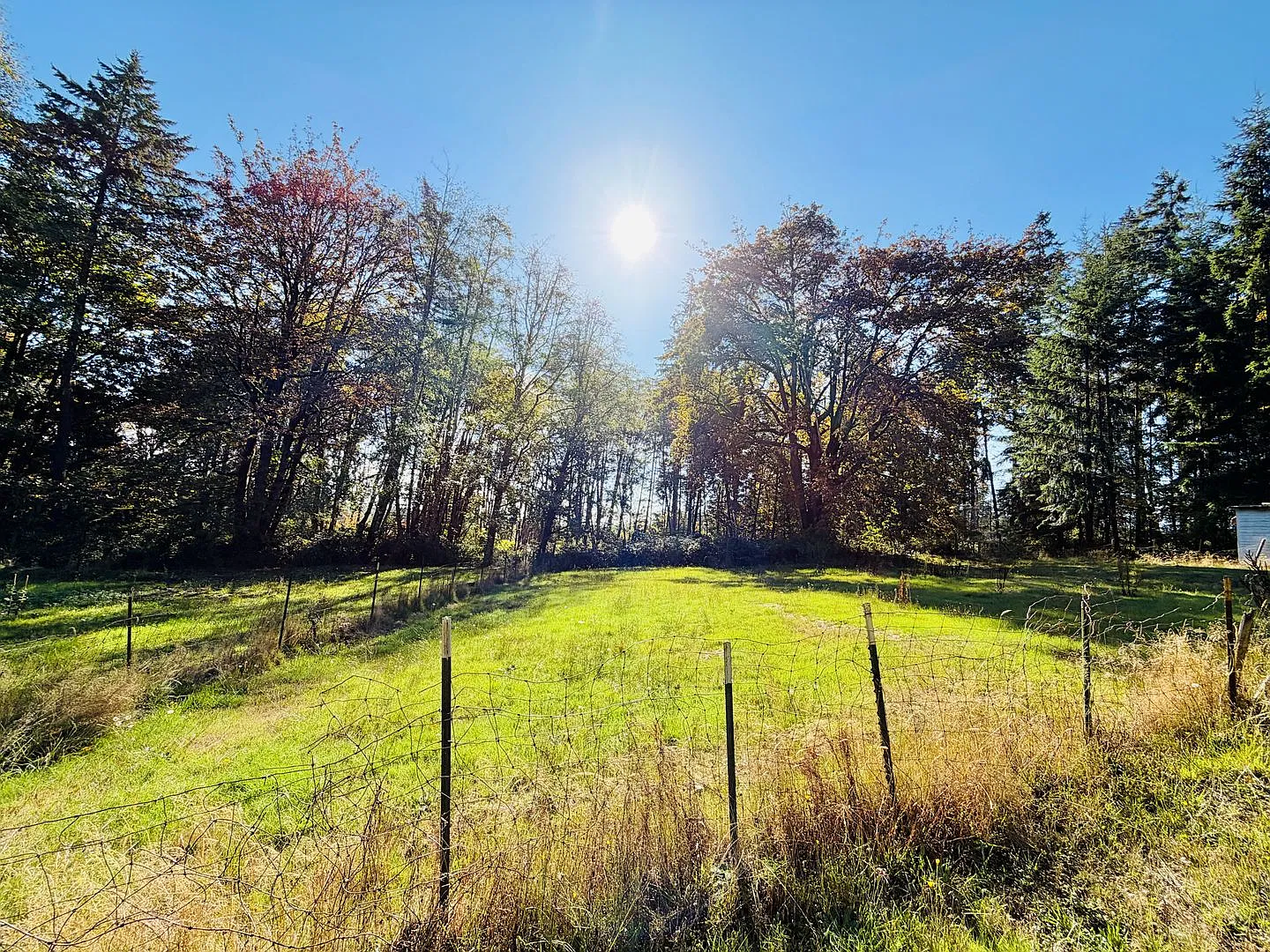 Kingston Farm on 5 Acres — Photo 2