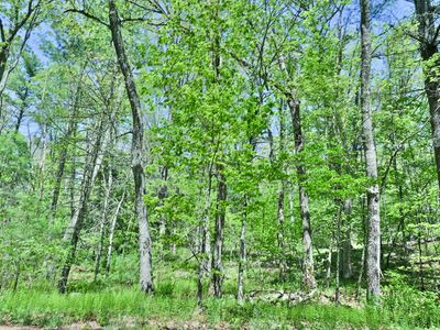 634 Parcel B 5 Mile River Road, Putnam, CT, 06260