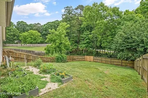 10816 Meriwether Ln — Photo 17