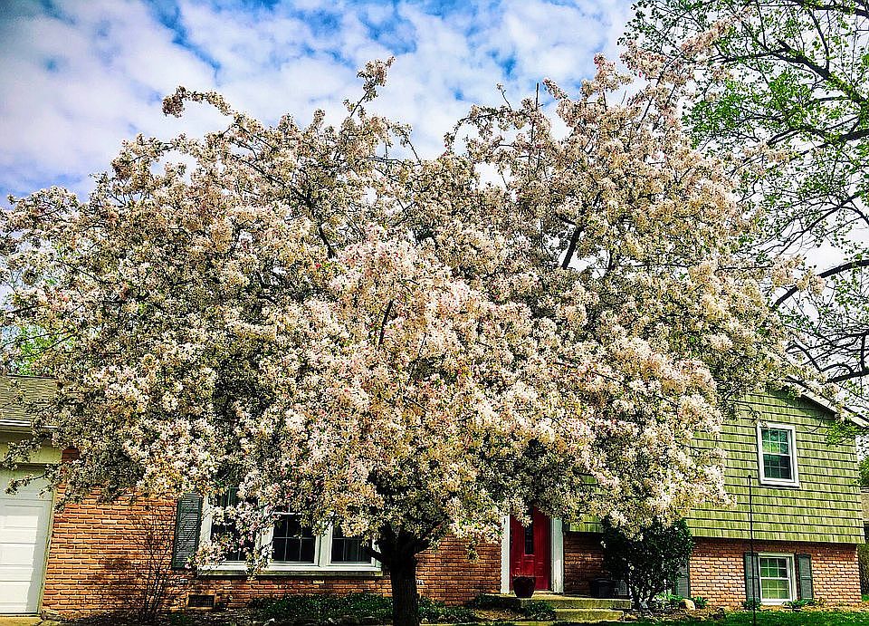 Exterior in spring. 