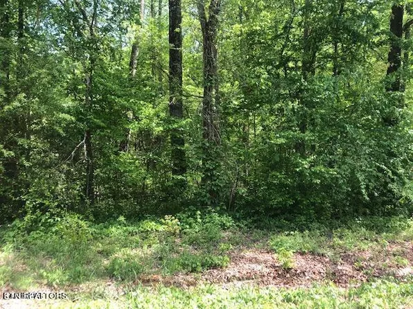 Sunrise Ln, Decatur, TN 37322